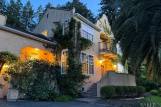 Single Family Residence, Coleman Valley road, Occidental, CA 95465 - 3