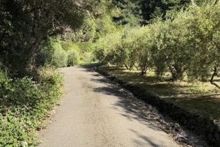 Single Family Residence, Coleman Valley road, Occidental, CA 95465 - 70