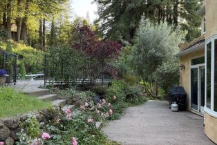Single Family Residence, Coleman Valley road, Occidental, CA 95465 - 28