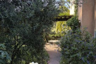 Single Family Residence, Coleman Valley road, Occidental, CA 95465 - 55
