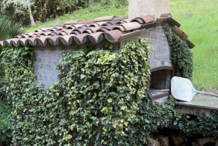 Single Family Residence, Coleman Valley road, Occidental, CA 95465 - 27