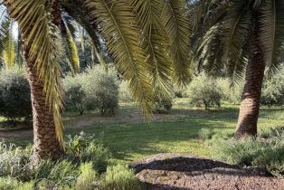 Single Family Residence, Coleman Valley road, Occidental, CA 95465 - 6