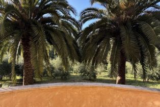 Single Family Residence, Coleman Valley road, Occidental, CA 95465 - 5