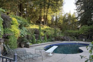 Single Family Residence, Coleman Valley road, Occidental, CA 95465 - 29