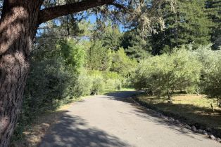 Single Family Residence, Coleman Valley road, Occidental, CA 95465 - 71