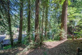 Single Family Residence, Eagle Nest lane, Russian River, CA 95446 - 29