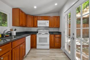 Single Family Residence, Eagle Nest lane, Russian River, CA 95446 - 12