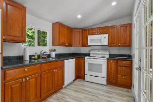 Single Family Residence, Eagle Nest lane, Russian River, CA 95446 - 11