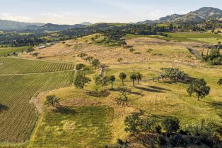 Residential Acreage,  Silverado trail, Napa, CA 94558 - 8