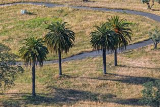 Residential Acreage,  Silverado trail, Napa, CA 94558 - 10