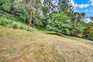 Residential Acreage,  Dry Creek road, Napa, CA 94558 - 11