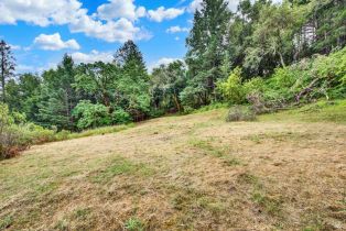 Residential Acreage,  Dry Creek road, Napa, CA 94558 - 9