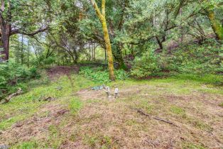 Residential Acreage,  Dry Creek road, Napa, CA 94558 - 13