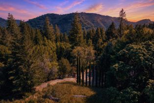 Residential Acreage,  Dry Creek road, Napa, CA 94558 - 31