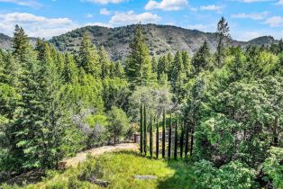 Residential Acreage,  Dry Creek road, Napa, CA 94558 - 27