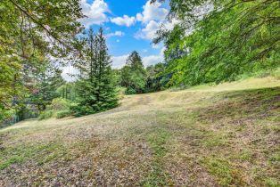 Residential Acreage,  Dry Creek road, Napa, CA 94558 - 5