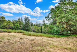 Residential Acreage,  Dry Creek road, Napa, CA 94558 - 2