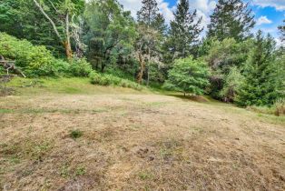 Residential Acreage,  Dry Creek road, Napa, CA 94558 - 10