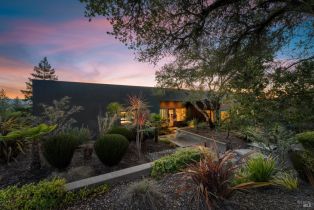 Single Family Residence, Carols View lane, Russian River, CA 95436 - 5