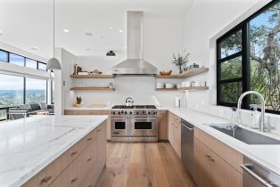Single Family Residence, Carols View lane, Russian River, CA 95436 - 10