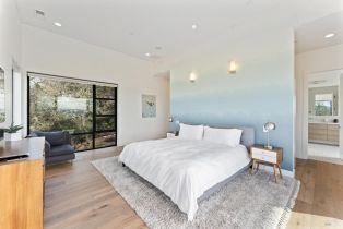 Single Family Residence, Carols View lane, Russian River, CA 95436 - 21