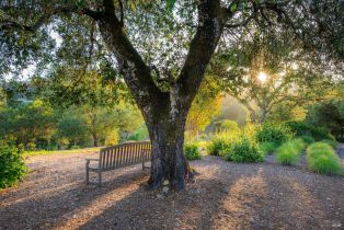 Single Family Residence, West Dry Creek road, Healdsburg, CA 95448 - 41