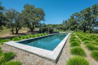 Single Family Residence, West Dry Creek road, Healdsburg, CA 95448 - 34