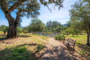 Single Family Residence, West Dry Creek road, Healdsburg, CA 95448 - 24