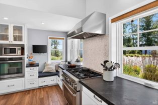 Single Family Residence, West Dry Creek road, Healdsburg, CA 95448 - 12