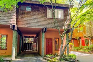 Condominium, 17239 Verba Ln, Russian River, CA  Russian River, CA 95446