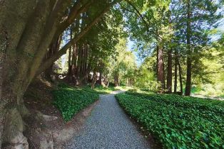 Condominium, Verba lane, Russian River, CA 95446 - 22