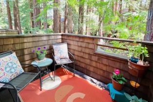Condominium, Verba lane, Russian River, CA 95446 - 19