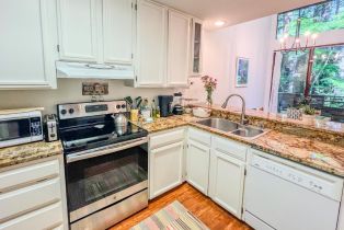 Condominium, Verba lane, Russian River, CA 95446 - 11