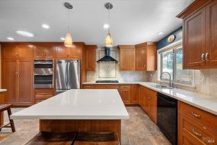 Single Family Residence, Elphick road, Sebastopol, CA 95472 - 7