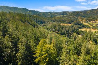 Single Family Residence, State Highway 128 none, Calistoga, CA 94515 - 66