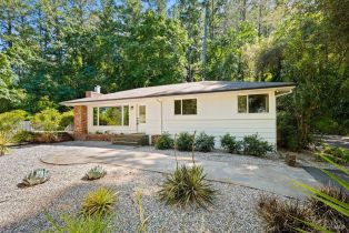 Single Family Residence, State Highway 128 none, Calistoga, CA 94515 - 3