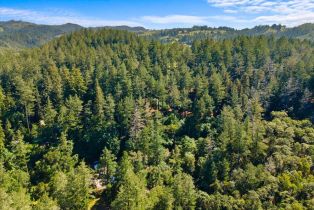 Single Family Residence, State Highway 128 none, Calistoga, CA 94515 - 70