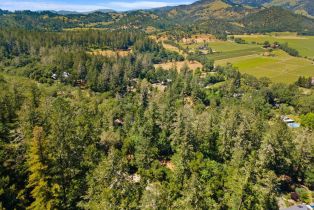 Single Family Residence, State Highway 128 none, Calistoga, CA 94515 - 63