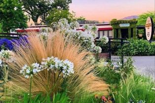 Single Family Residence, Heritage way, Yountville, CA 94599 - 60