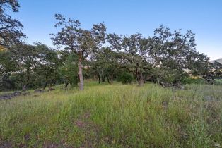 Single Family Residence, Savannah trail, Santa Rosa, CA 95404 - 63
