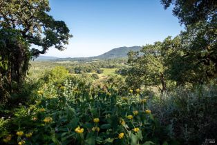Single Family Residence, Savannah trail, Santa Rosa, CA 95404 - 44