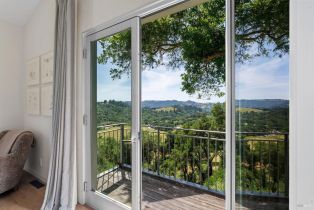 Single Family Residence, Chalk Hill road, Healdsburg, CA 95448 - 65