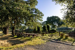 Single Family Residence, Chalk Hill road, Healdsburg, CA 95448 - 15