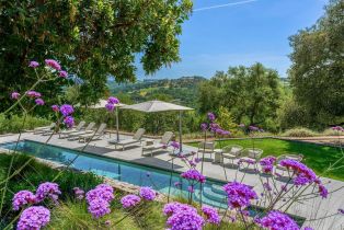 Single Family Residence, Chalk Hill road, Healdsburg, CA 95448 - 32