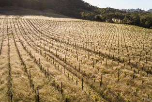 Single Family Residence, Chalk Hill road, Healdsburg, CA 95448 - 94