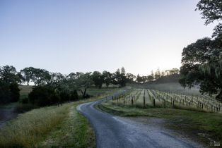 Single Family Residence, Chalk Hill road, Healdsburg, CA 95448 - 6