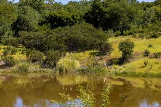 Single Family Residence, Chalk Hill road, Healdsburg, CA 95448 - 75