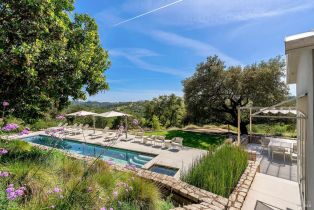 Single Family Residence, Chalk Hill road, Healdsburg, CA 95448 - 38