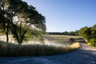 Single Family Residence, Chalk Hill road, Healdsburg, CA 95448 - 9