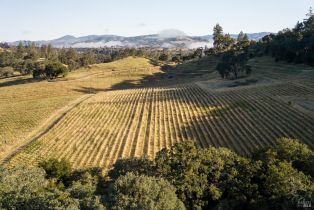 Single Family Residence, Chalk Hill road, Healdsburg, CA 95448 - 97